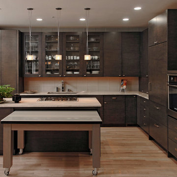 Potomac, Maryland - Contemporary - Kitchen