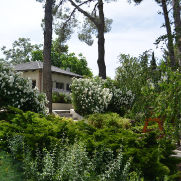 Symmetrical garden