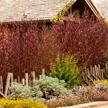 Hedges