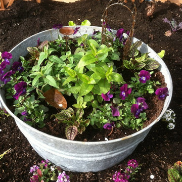 Fairy Gardens, Terrariums & Succulents