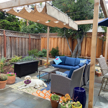 Sunnyvale Low Water & Dog Safe Garden
