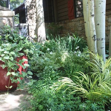 Gardening in the Shade