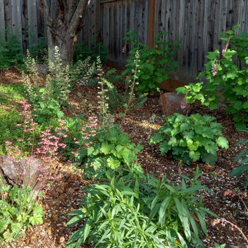 A Garden for Relaxation and Nature Observation