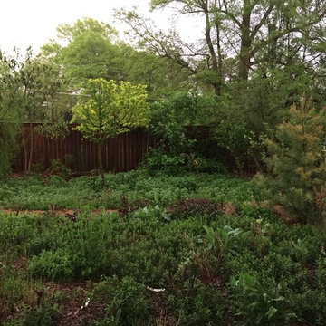Jaliya's Memorial Garden