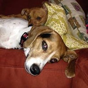 Sonia Edis's photo