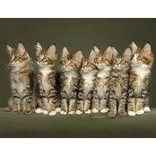 Catherine Easdown's photo