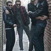 Moein Naderi's photo