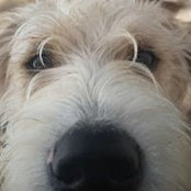 Mary Barletto's photo