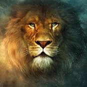 Abraham Arevalo's photo
