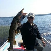Chris Wilson's photo