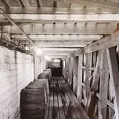 Ken Bowman's photo