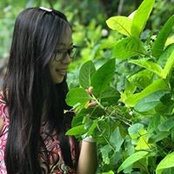 Foto von Sok Sophea