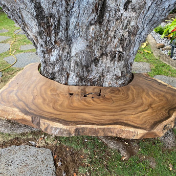 100 Year Old Tree Bench