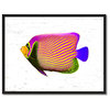 Purple Tropical Fish Painting, 28"x37"