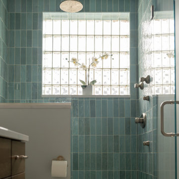 Chicago Primary Bath Retreat