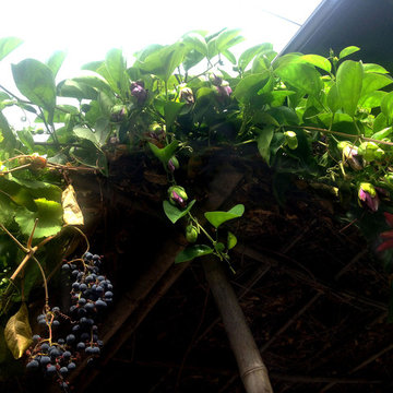 Secret Sanctuary Garden