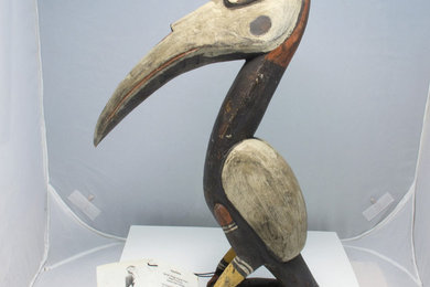 Птица Папуа - Новая Гвинея
