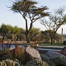 Landscape Ideas