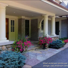 Landscape Ideas