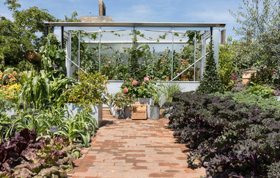 Garden Tour: An Edible Garden that Champions Home-grown Produce
