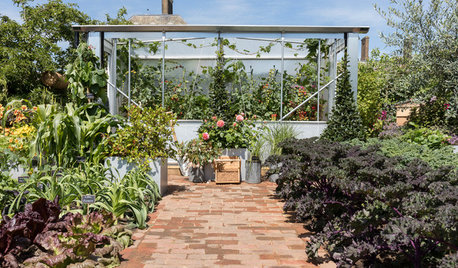 Garden Tour: An Edible Garden that Champions Home-grown Produce