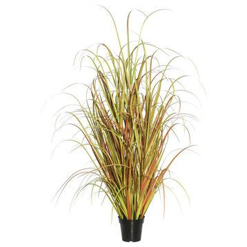 36" Mixed Brown Grass, Pot