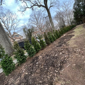Landscaping | Lawn Care & Garden Design