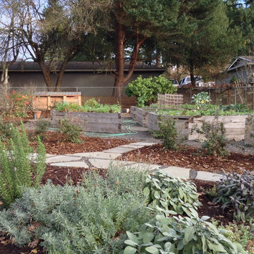 Large Vegetable Garden