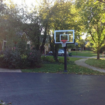 steven k's Pro Dunk Silver Basketball System on a 38x25 in buffalo grove, IL