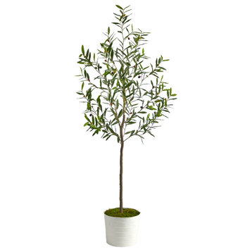70" Olive Artificial Tree, White Tin Planter