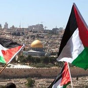 Mehdi Chahed's photo