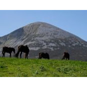 Denny Lynch's photo