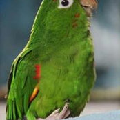 Jen Ockert's photo