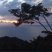 Tiffany Barrett's photo