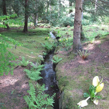 outdoor landscape ideas