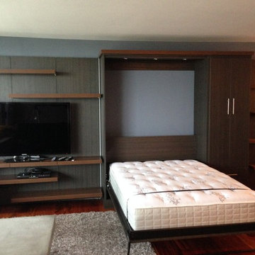 Chicago Condo mixed use Entertainment System