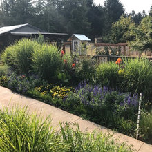 Green Paw Gardens
