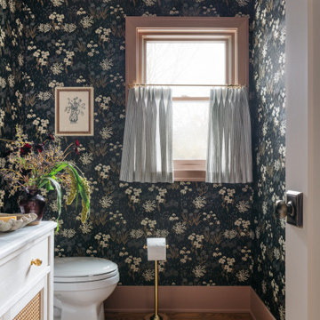 Downers Grove Main Floor Renovation
