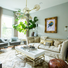 Living Room Ideas