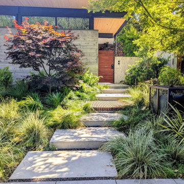 Palo Alto Contemporary