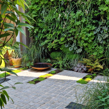 Secluded shady courtyard - Epsom