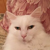 Connie Falzon's photo