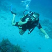 William Wills's photo