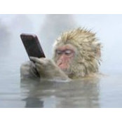 Bill Hensel's photo