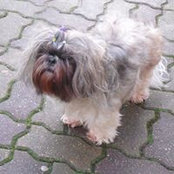 Nadine Tranain's photo