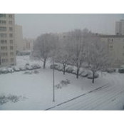 Foto von Sala Ndiaye