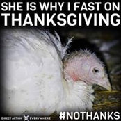 Liz Pinkerton's photo