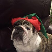 Jan Horesh's photo