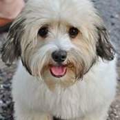 Foto von Mary Ambs