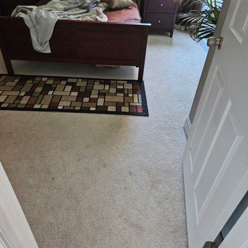 Residential Carpet Installation